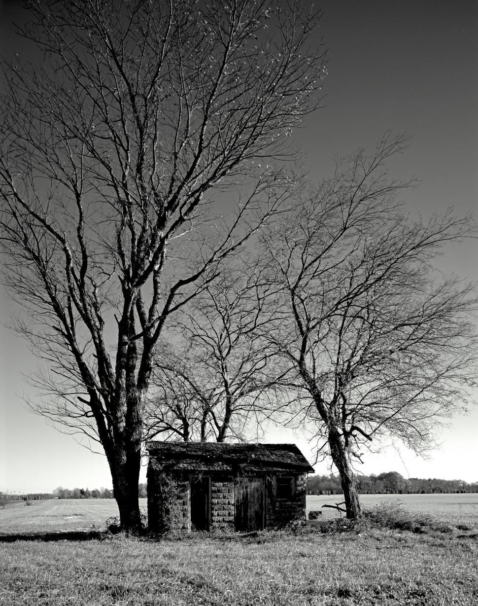 Free Image of Hut in Black and White  