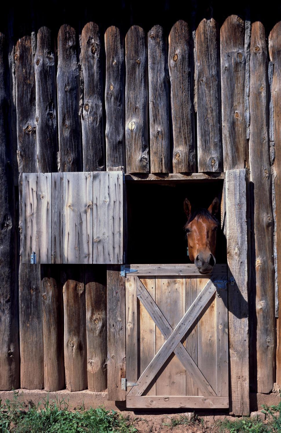 Free Image of Horse Stable and Horse  