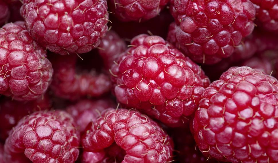 Free Image of Close up of raspberries 