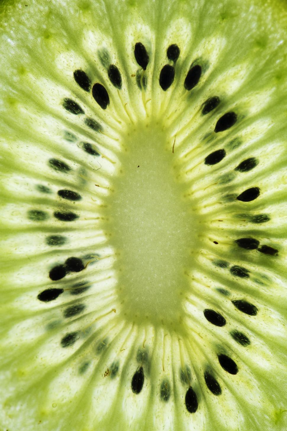 Free Image of Close up of a kiwi slice 