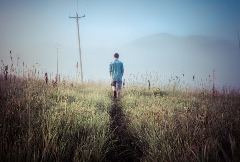 Free Image of Man walking in the meadow (back side view)  