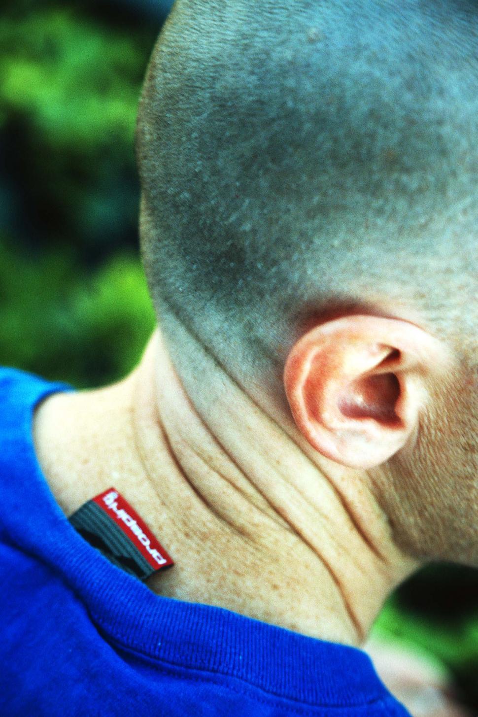 Free Image of Back of a head 