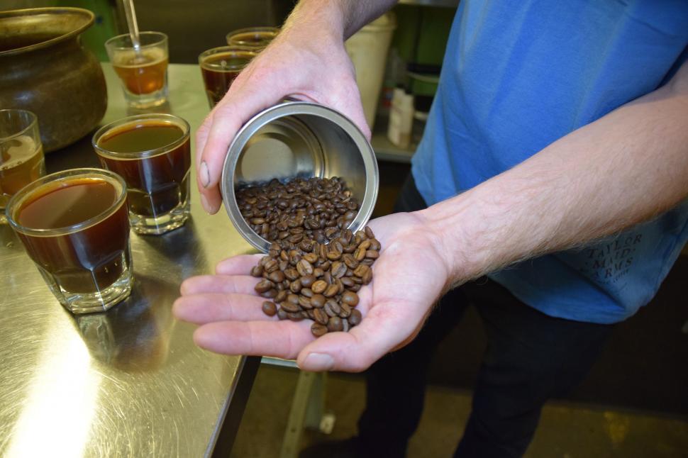 Free Image of Coffee Beans in hands  