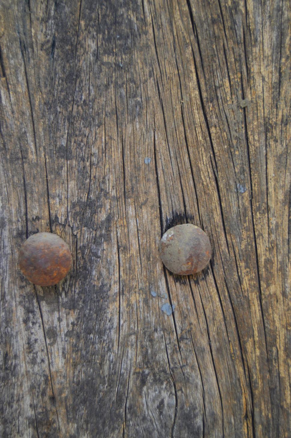 Free Image of Nails on Wood 