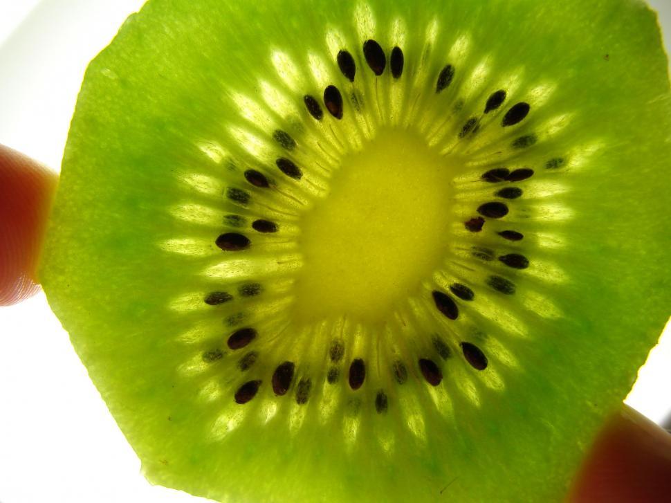 Free Image of Slice of Kiwi 
