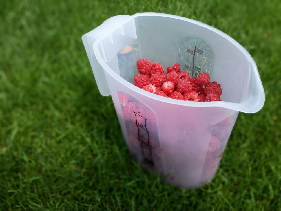 Free Image of Raspberries on Grass  