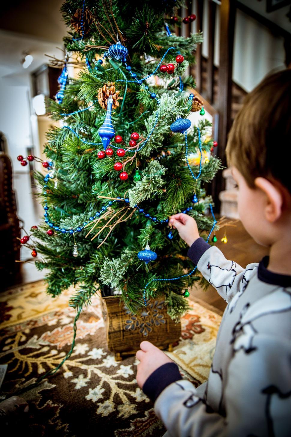 Free Image of Boy and Christmas Tree 