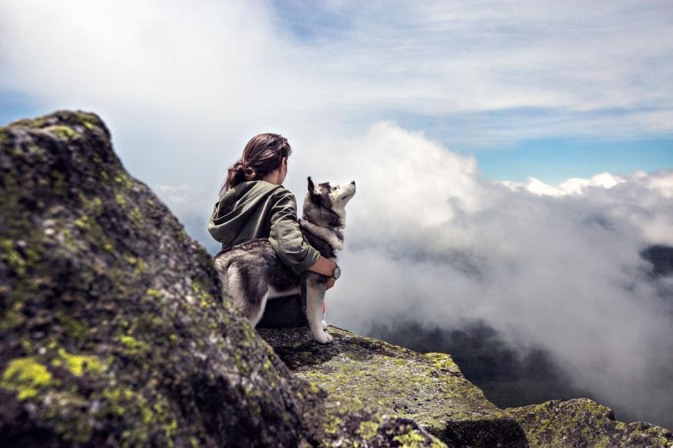 Free Image of Woman sitting beside dog on mountain 