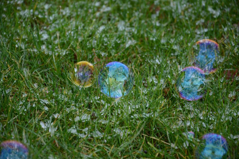 Free Image of Soap bubbles on Grass  