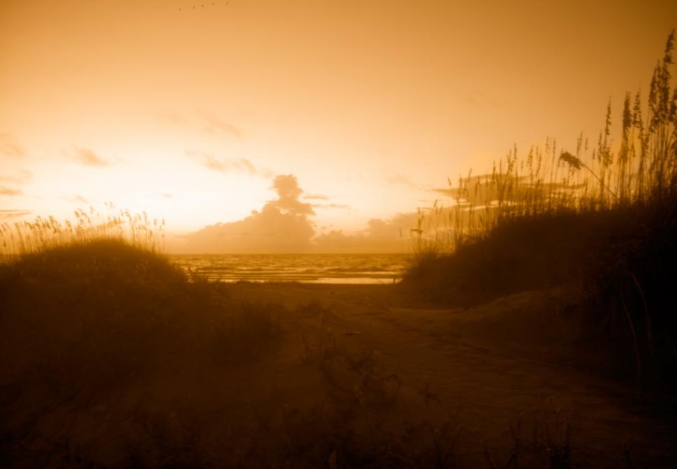 Free Image of Sun Rise over Tybee Island 