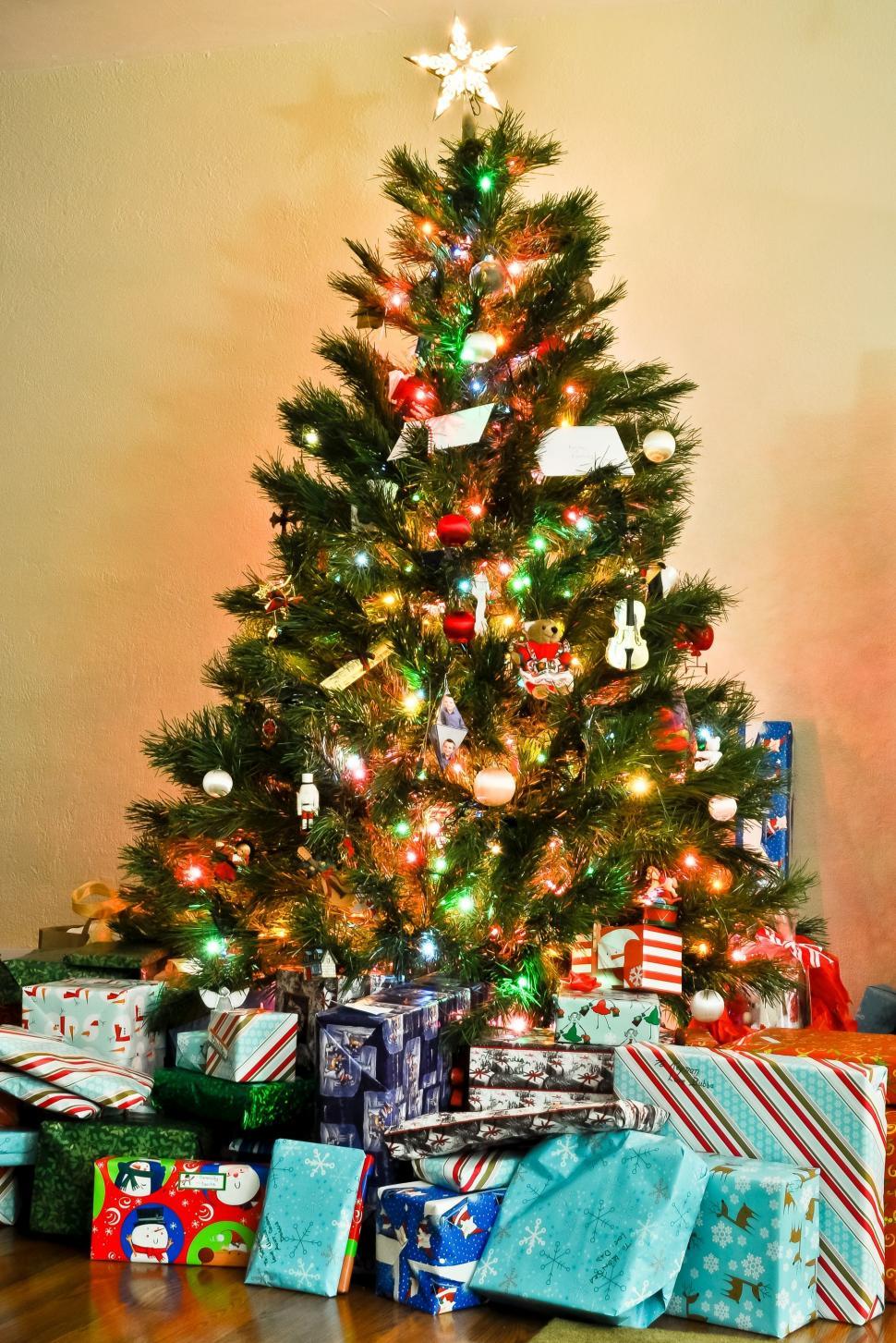 Free Image of Christmas Tree with lights  