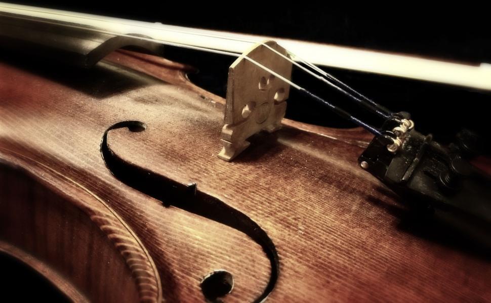Free Image of Violin Strings 