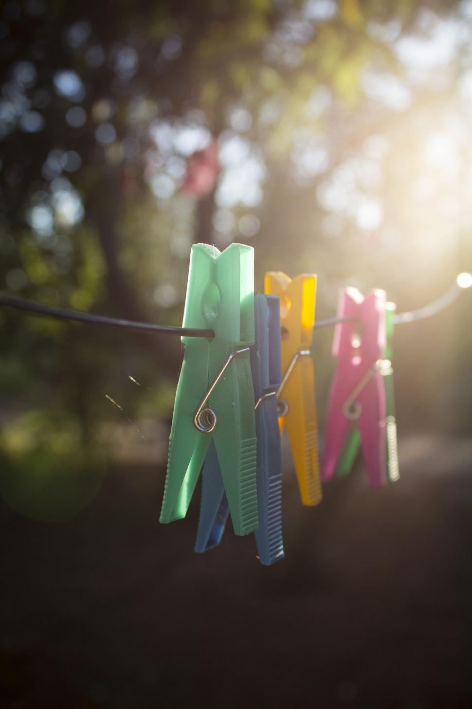 Free Image of Clothes-pegs  