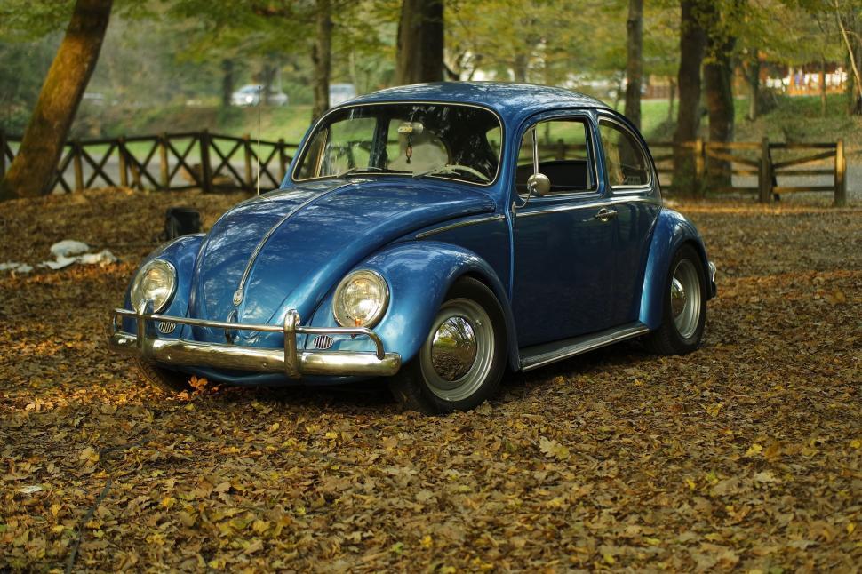 Free Image of Retro Beetle Car in Autumn  