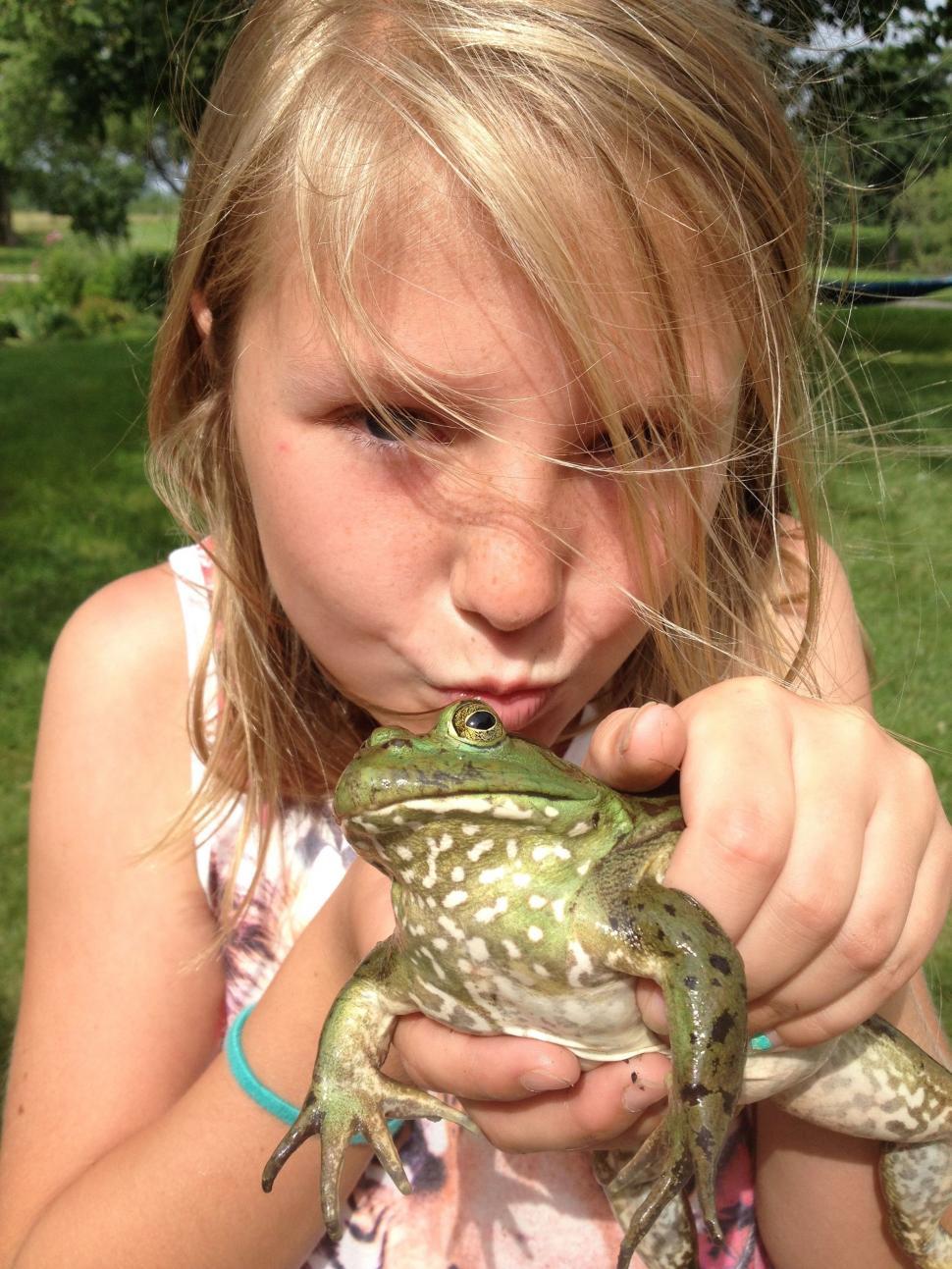 Free Image of Kissing a Frog  