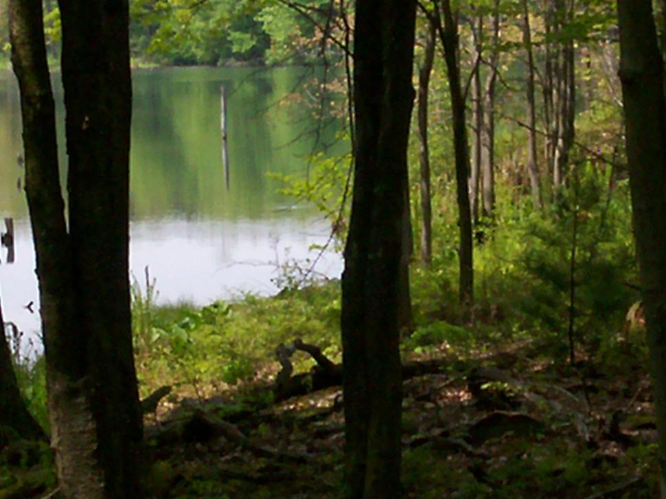 Free Image of Lake on a nature trail 