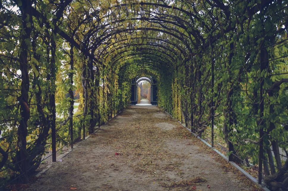 Free Image of Garden Corridor  