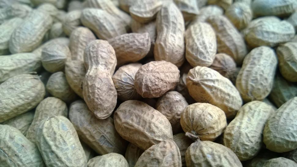 Free Image of Close up of Peanuts 