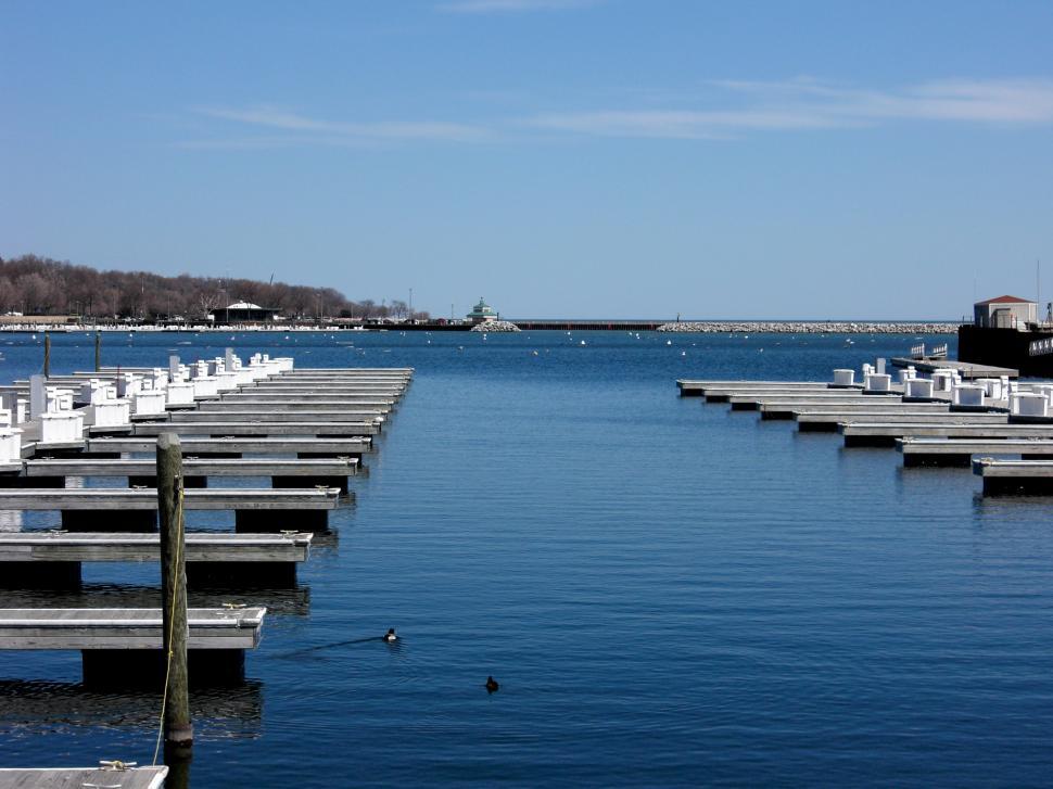 Free Image of Expanse of Water With Numerous Docks 
