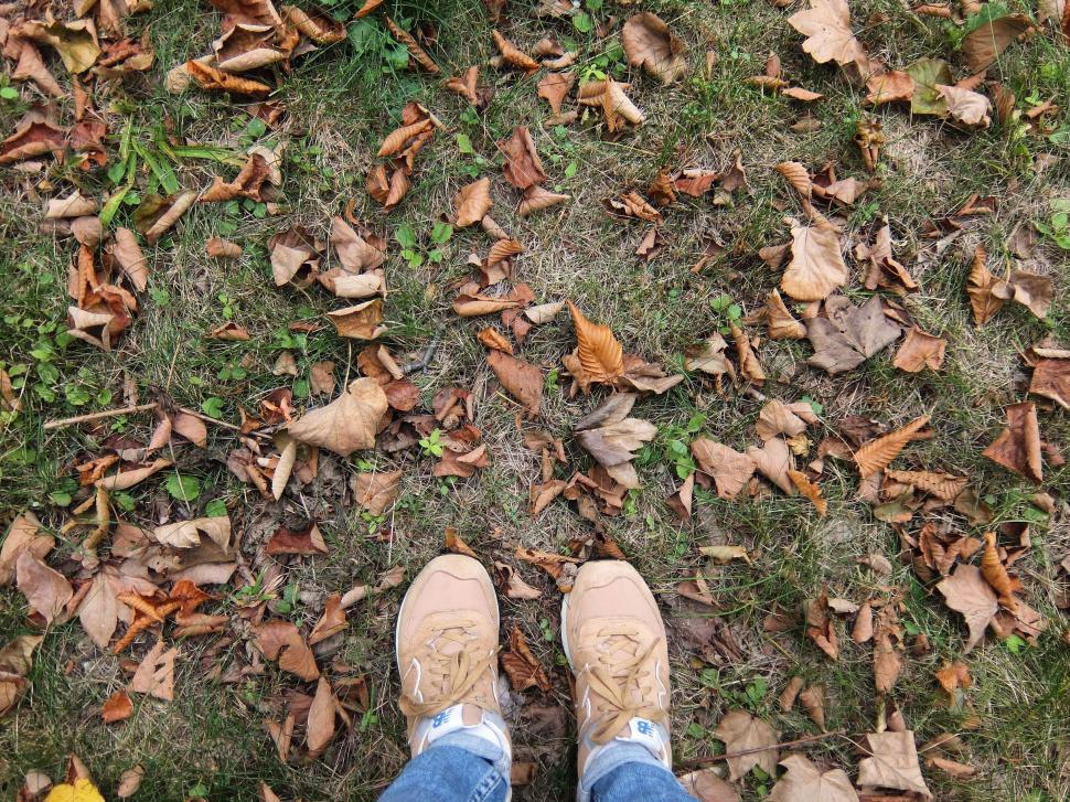 Free Image of Feet on autumn leaves  
