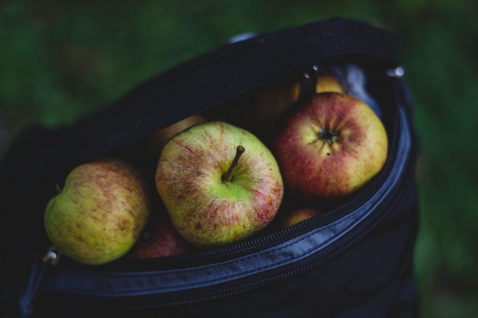 Free Image of Apples in Bag  
