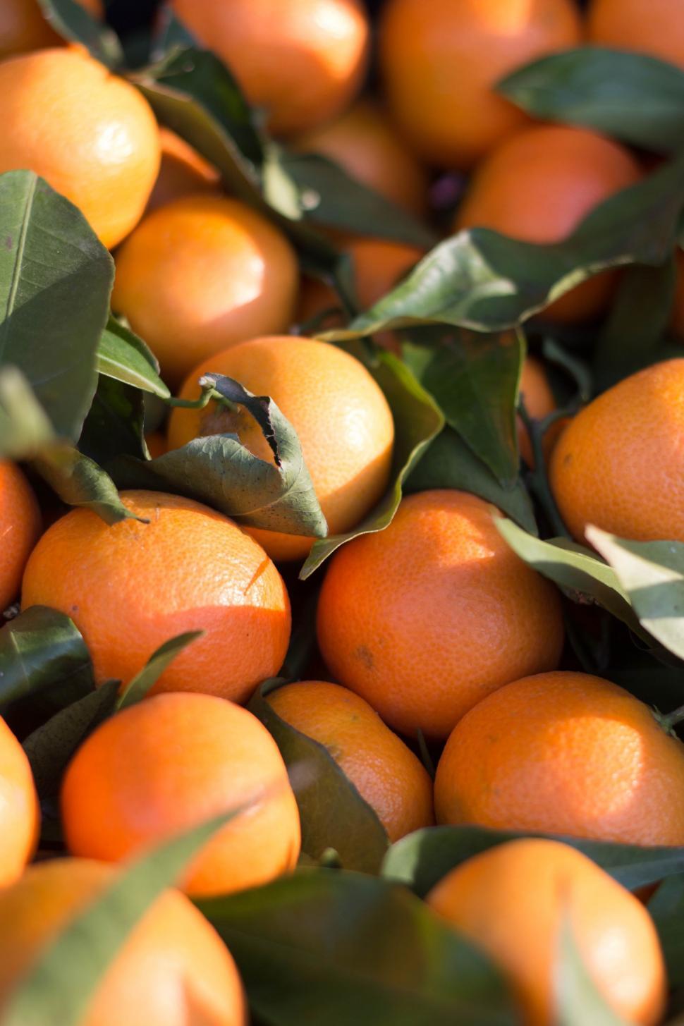 Free Image of Mandarin oranges 