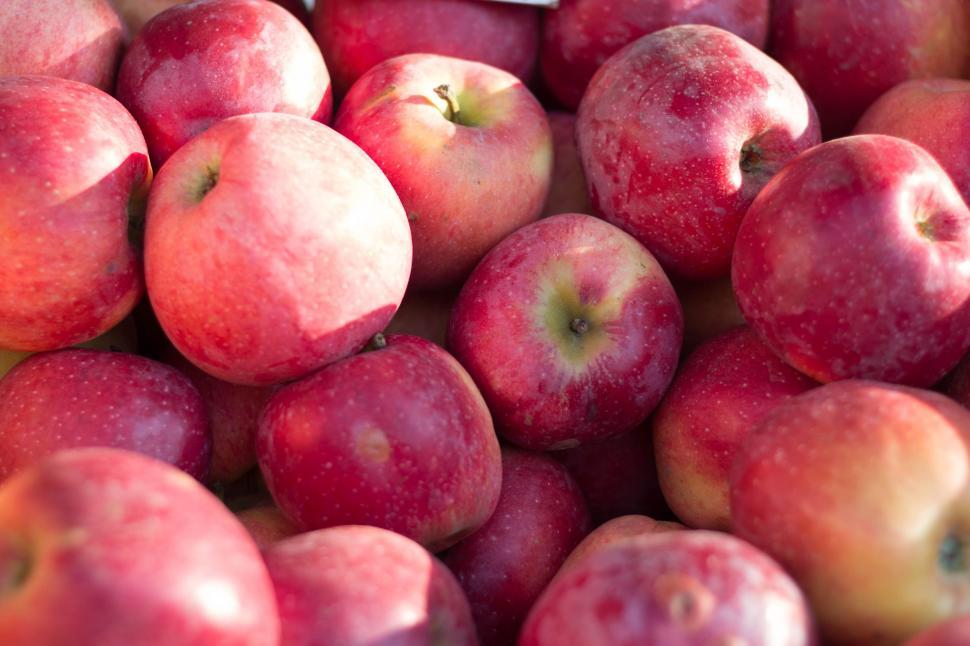 Free Image of Red Apples  