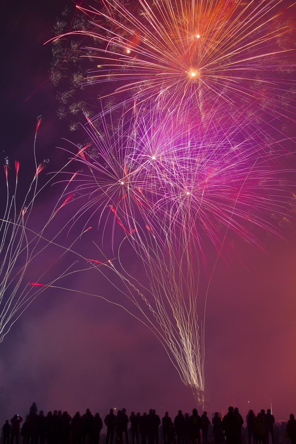 Free Image of Pink Fireworks in Sky  