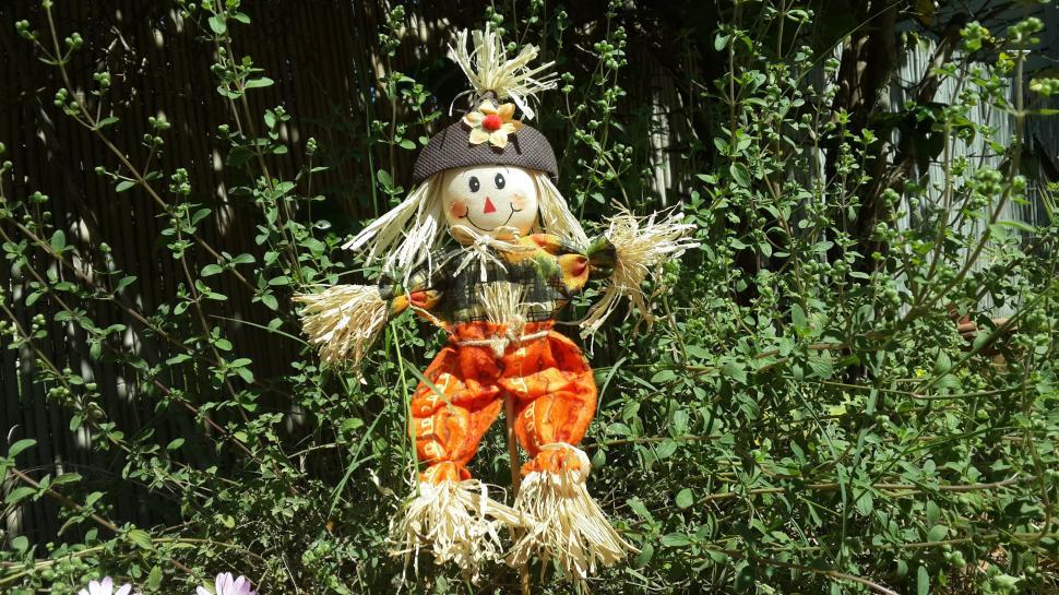 Free Image of Scarecrow Doll  