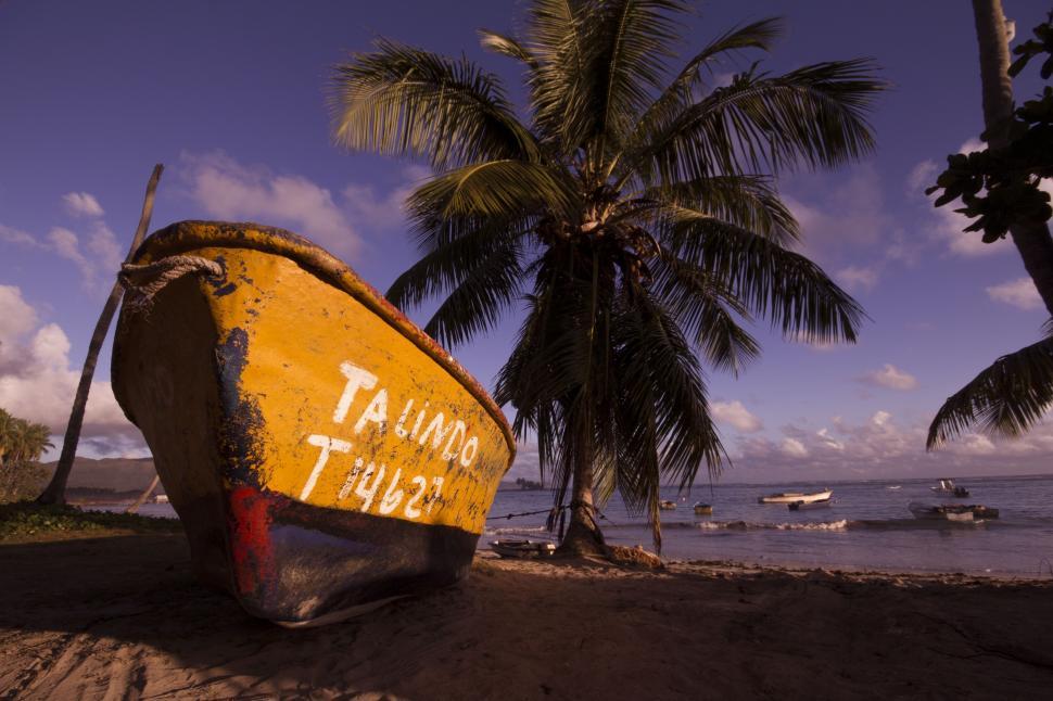 Free Image of Boat and Palm Trees  