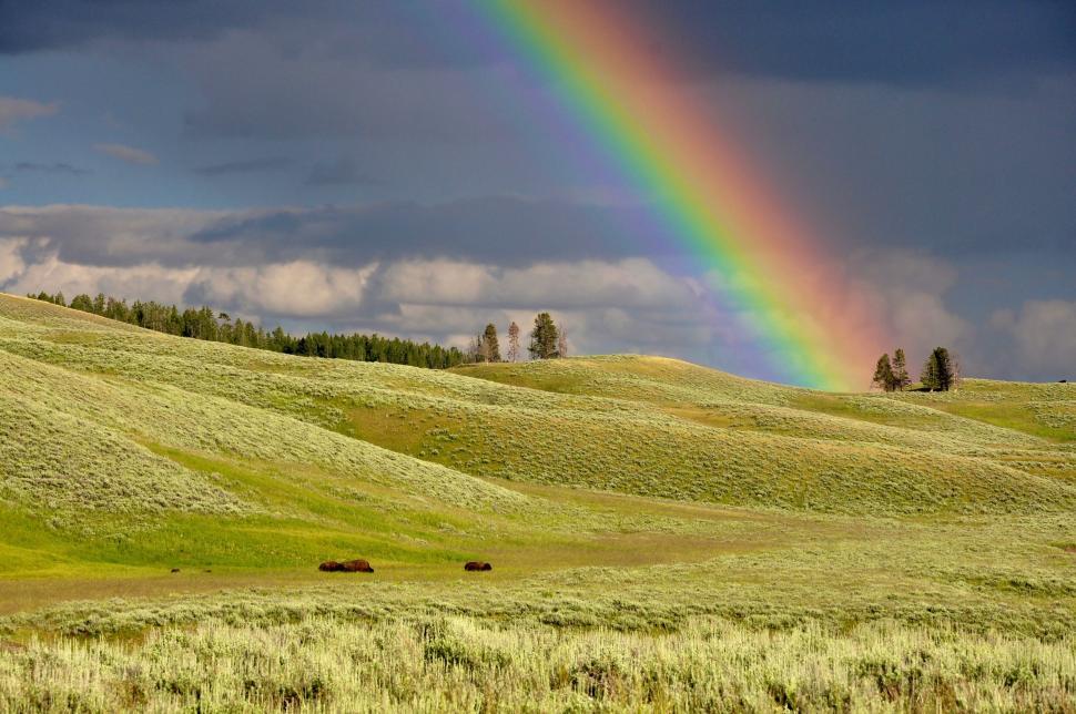Free Image of Rainbow in sky 