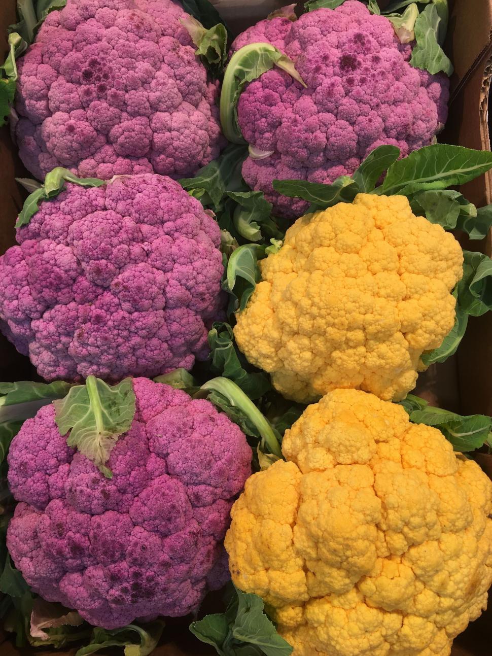 Free Image of Purple and Yellow Cauliflower 