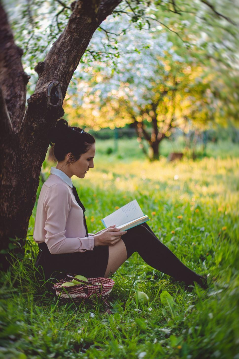 Download Free Stock Photo of Woman sitting under tree reading a book  