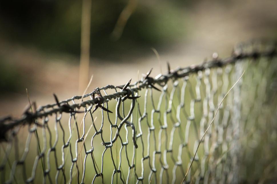 Free Image of Wired Fence  