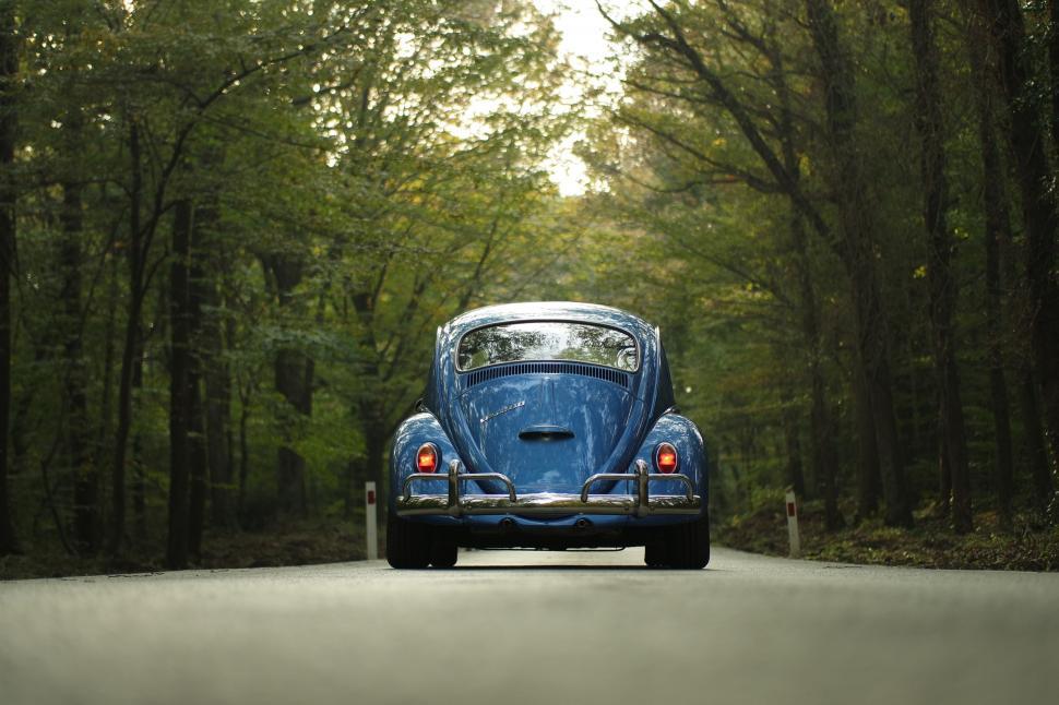 Free Image of Beetle Car in Forest 