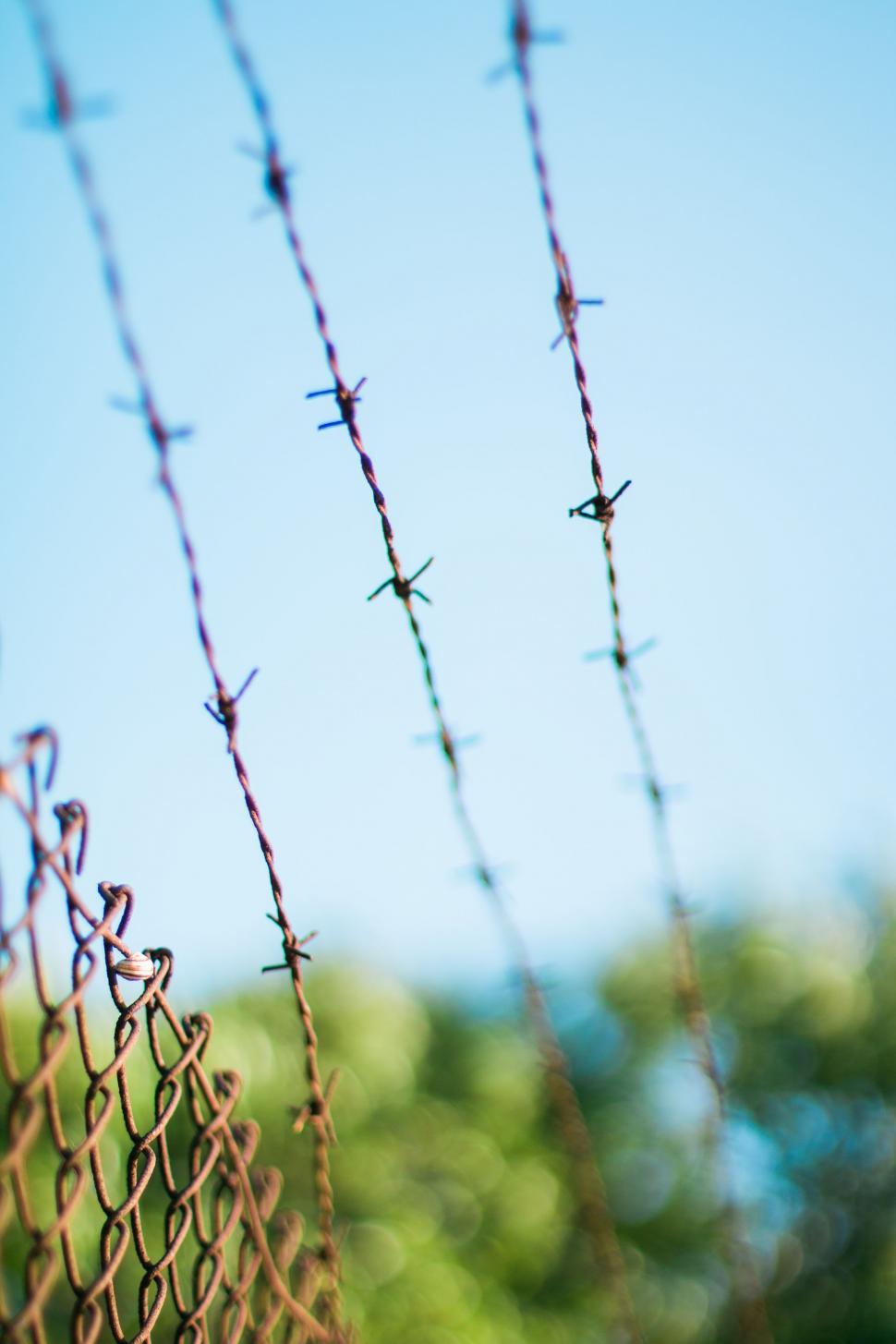 Free Image of Wire Fence  