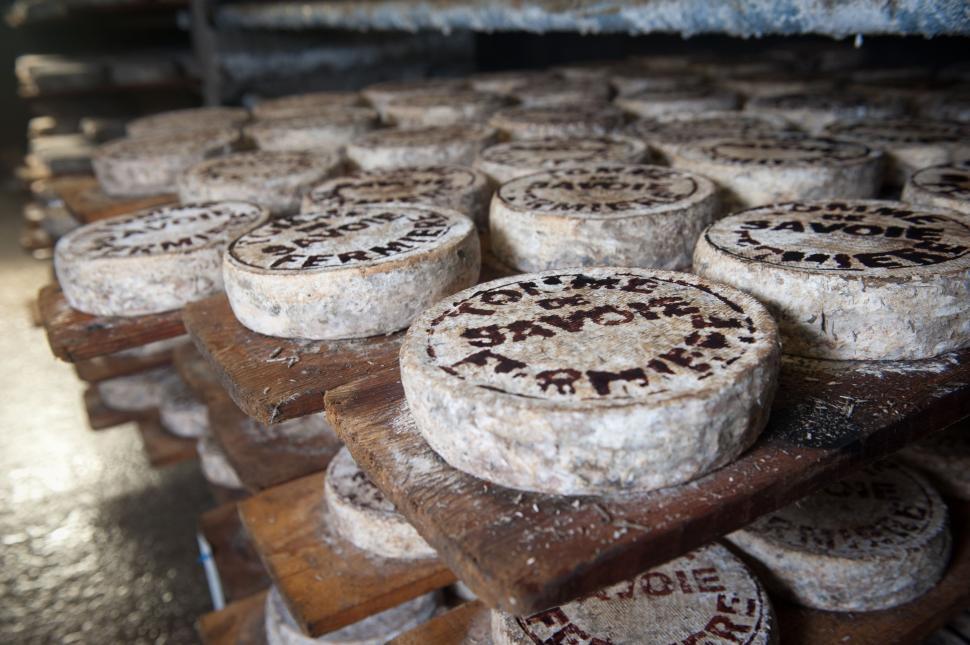Free Image of Tomme de Savoie Cheese  