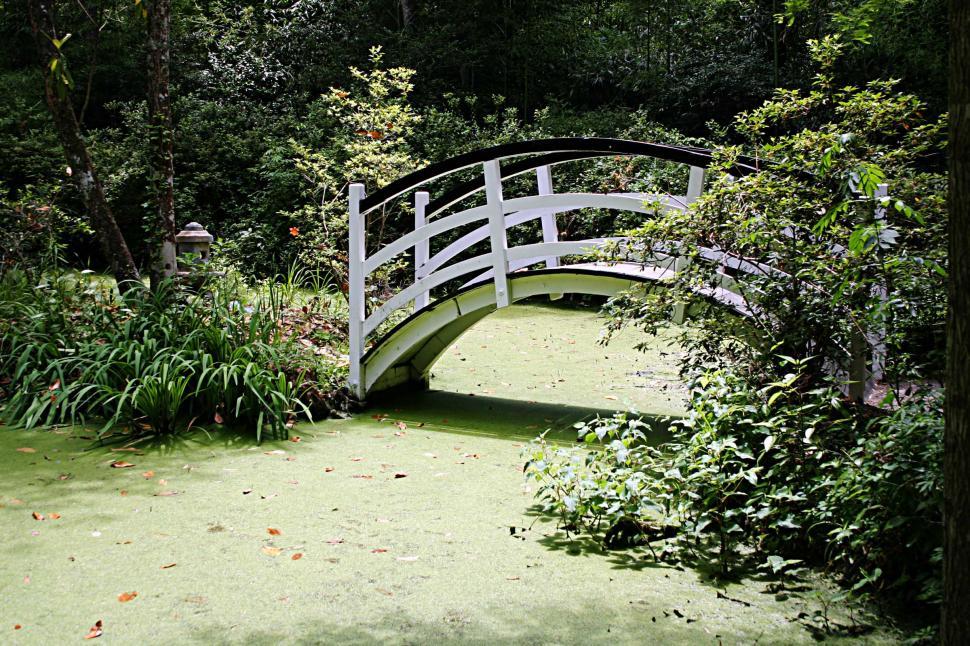 Free Image of White Bridge Over Green Pond Surrounded by Trees 