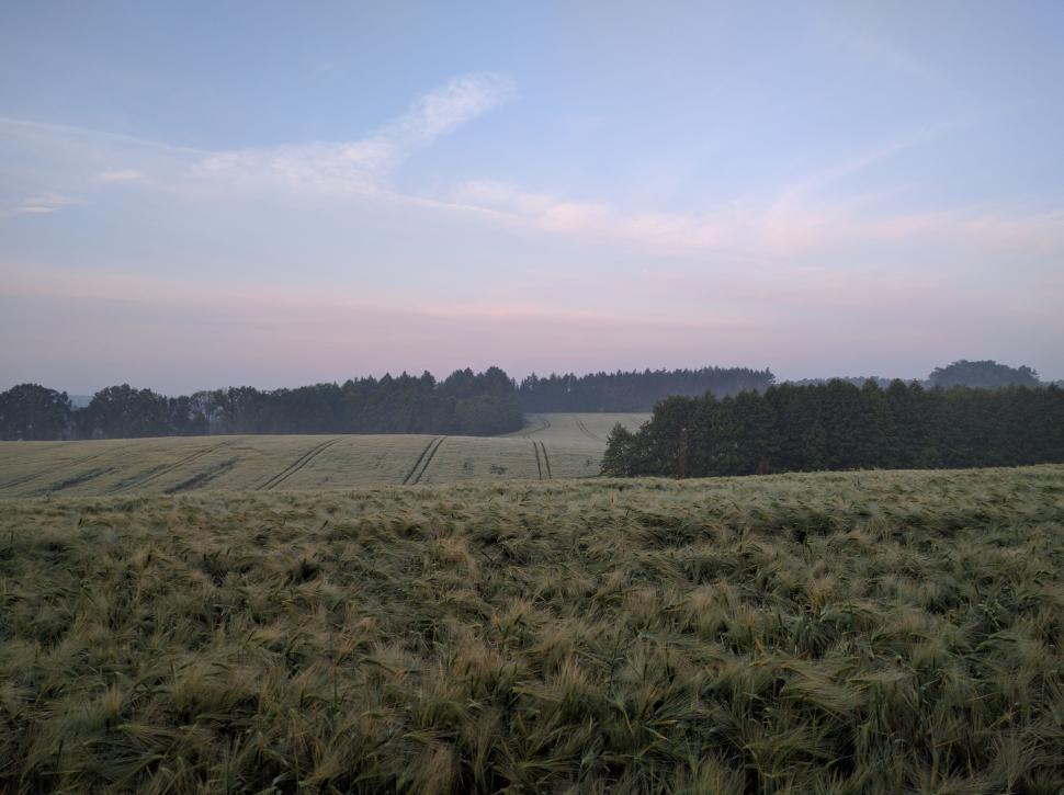 Free Image of Morning View of Farmland  