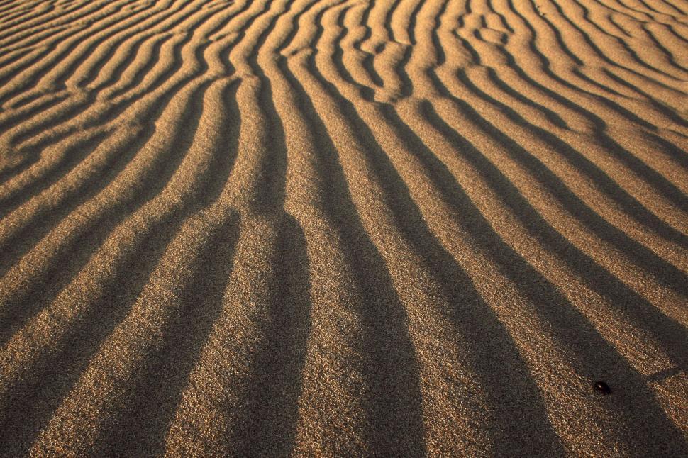 Free Image of Sand Dunes Texture  