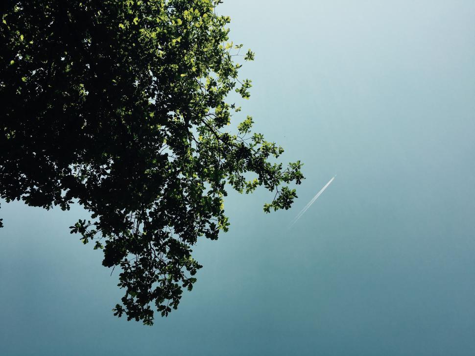 Free Image of Airplane with Contrails  