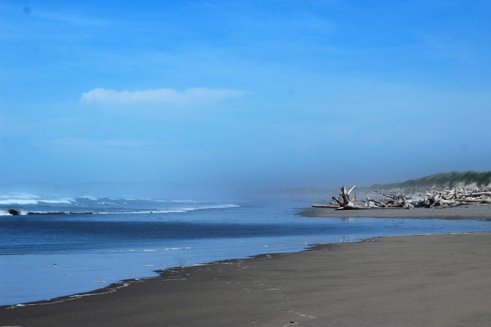 Free Image of Beach and Driftwood  