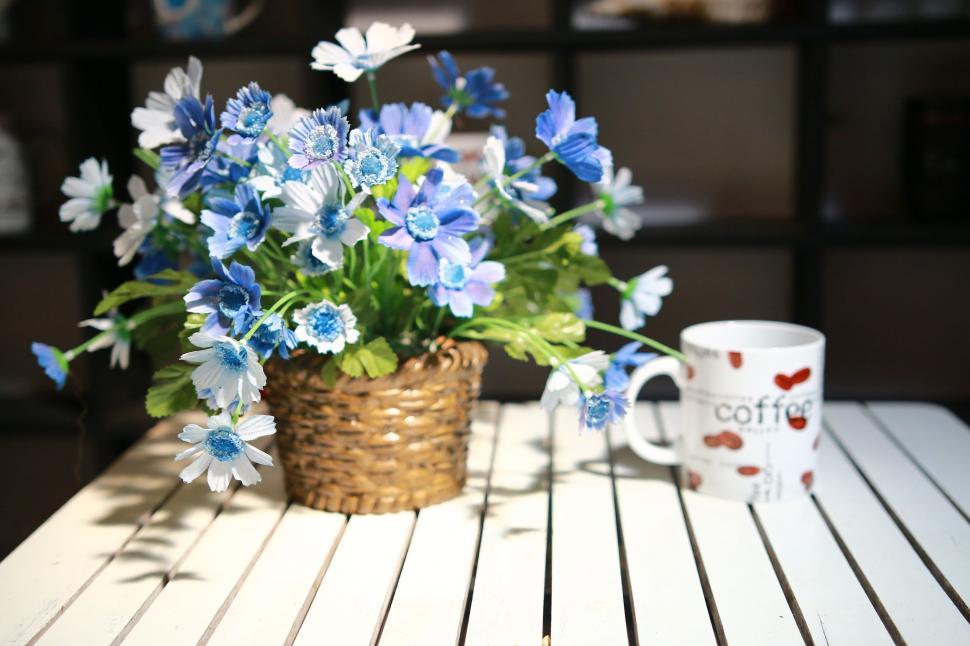 Free Image of Flower Vase and Coffee Mug  