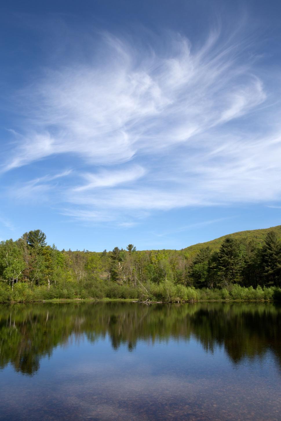 Free Image of Trees Reflection on Lake  