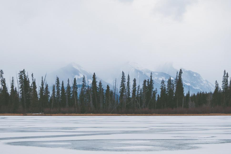 Free Image of Frozen Lake and Trees  