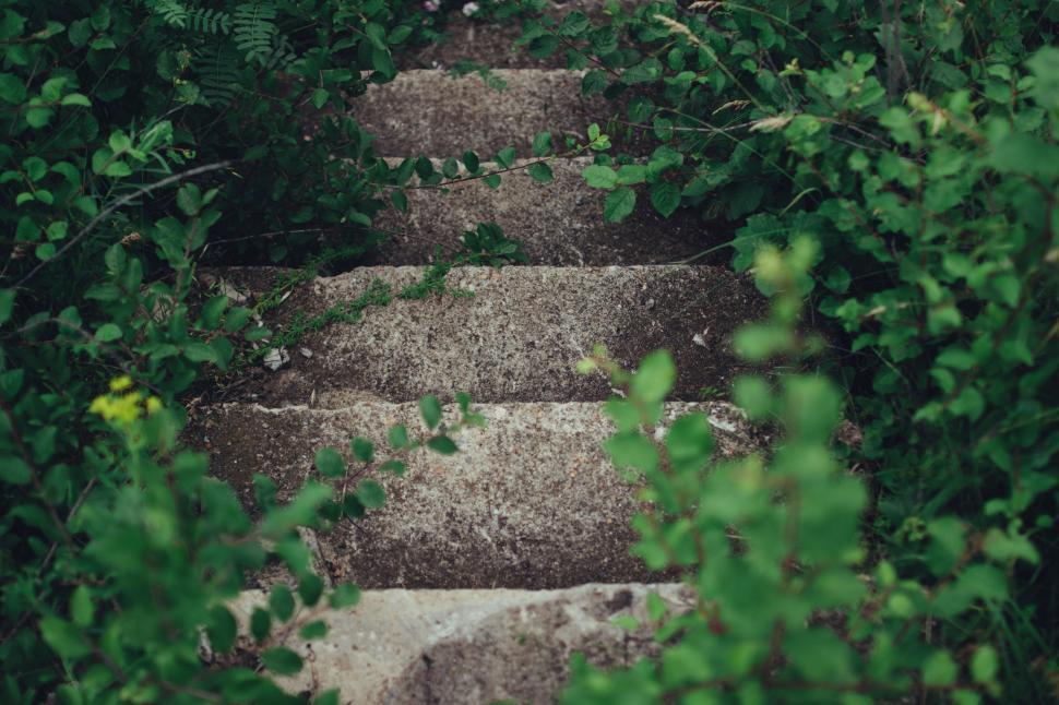 Free Image of Concrete Stairs  