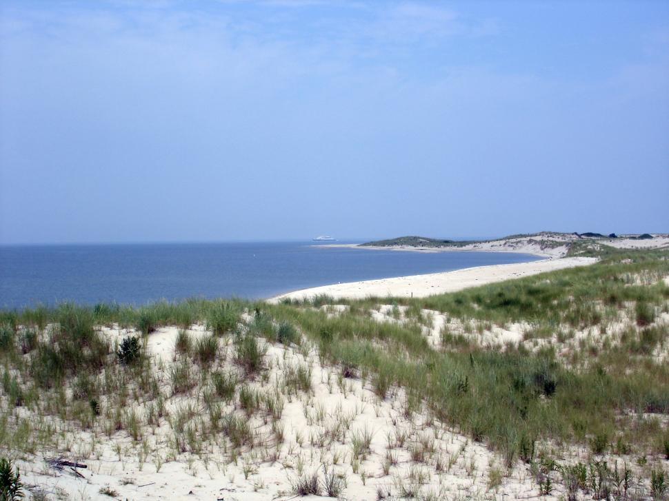 Free Image of Cape Henlopen State Park 