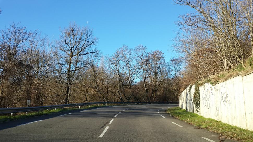 Free Image of Empty Road with Dried Trees  