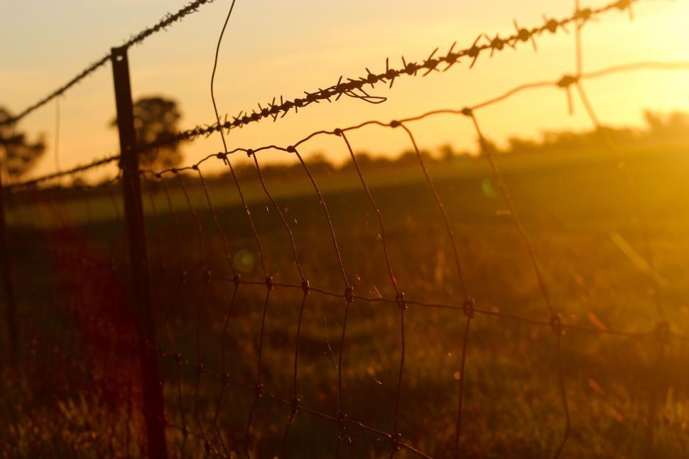 Free Image of Barbed Wire  