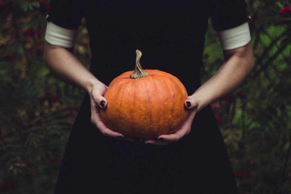 Free Image of Woman Holding Pumpkin  